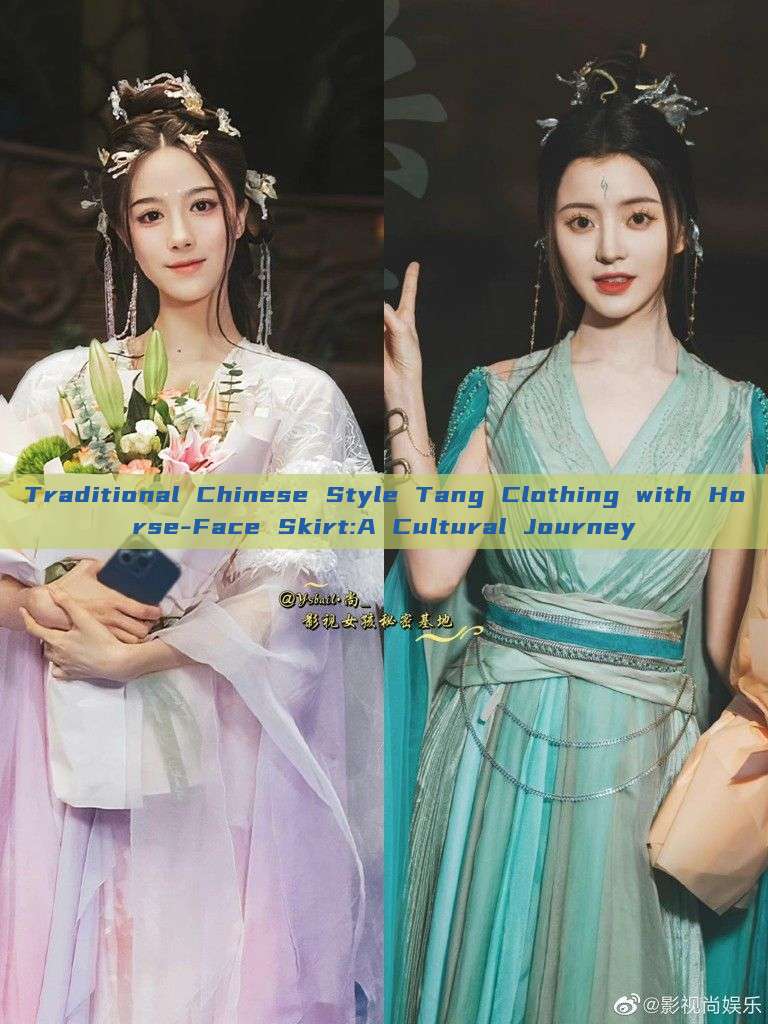 Traditional Chinese Style Tang Clothing with Horse-Face Skirt:A Cultural Journey Traditional Chinese Style Tang Clothing with Horse-Face Skirt:A Cultural Journey
