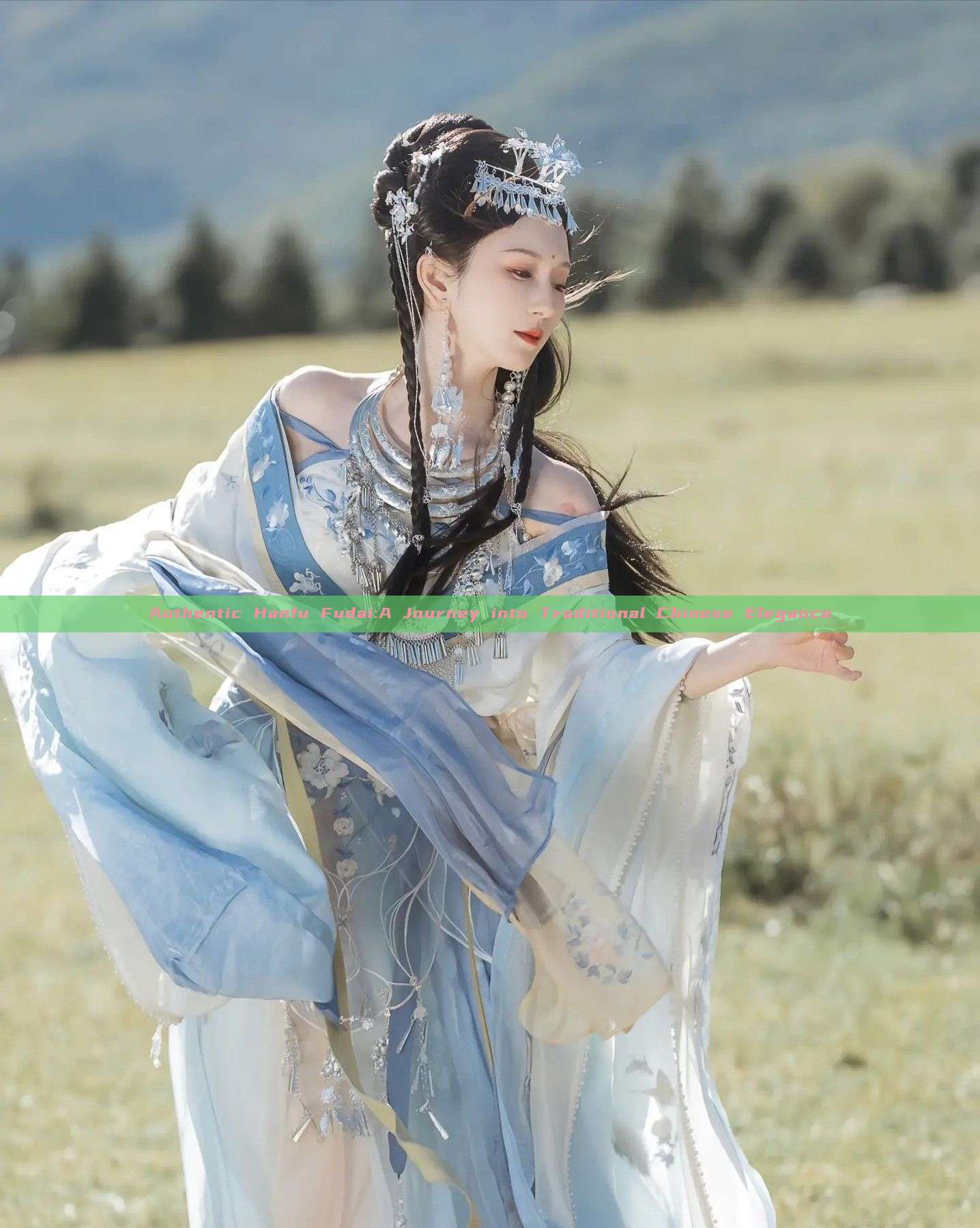 Authentic Hanfu Fudai:A Journey into Traditional Chinese Elegance Authentic Hanfu Fudai:A Journey into Traditional Chinese Elegance