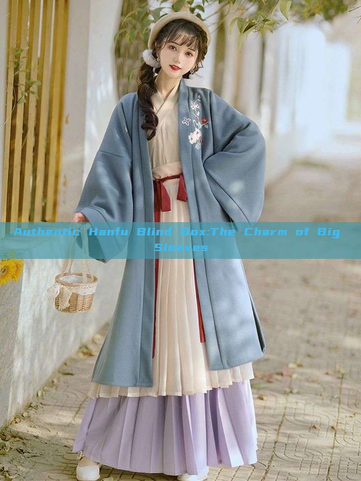 Authentic Hanfu Blind Box:The Charm of Big Sleeves Authentic Hanfu Blind Box:The Charm of Big Sleeves