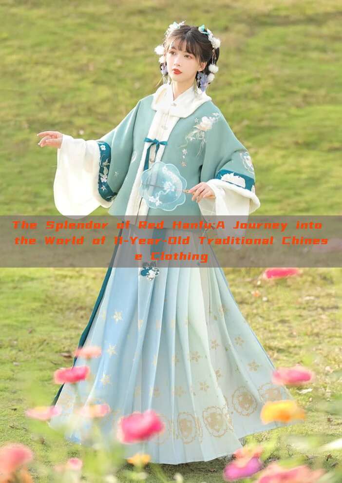 The Splendor of Red Hanfu:A Journey into the World of 11-Year-Old Traditional Chinese Clothing The Splendor of Red Hanfu:A Journey into the World of 11-Year-Old Traditional Chinese Clothing