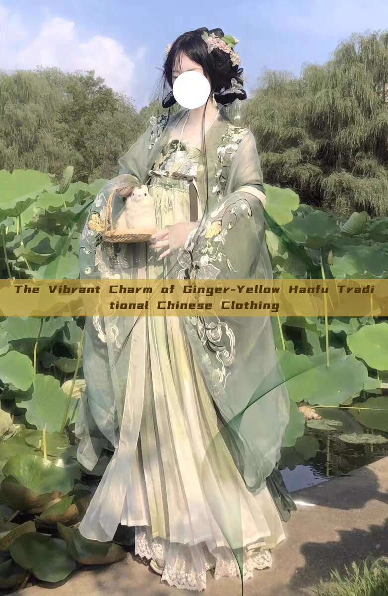 The Vibrant Charm of Ginger-Yellow Hanfu Traditional Chinese Clothing The Vibrant Charm of Ginger-Yellow Hanfu Traditional Chinese Clothing