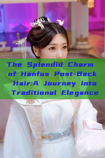 The Splendid Charm of Hanfus Post-Back Hair:A Journey into Traditional Elegance The Splendid Charm of Hanfus Post-Back Hair:A Journey into Traditional Elegance