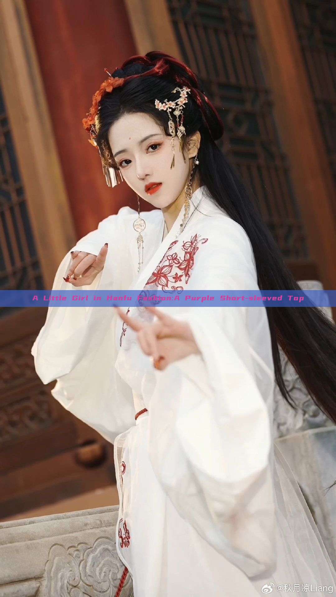 A Little Girl in Hanfu Fashion:A Purple Short-sleeved Top A Little Girl in Hanfu Fashion:A Purple Short-sleeved Top