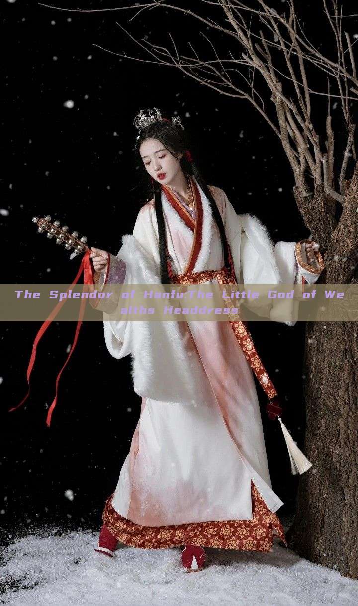 The Splendor of Hanfu:The Little God of Wealths Headdress The Splendor of Hanfu:The Little God of Wealths Headdress