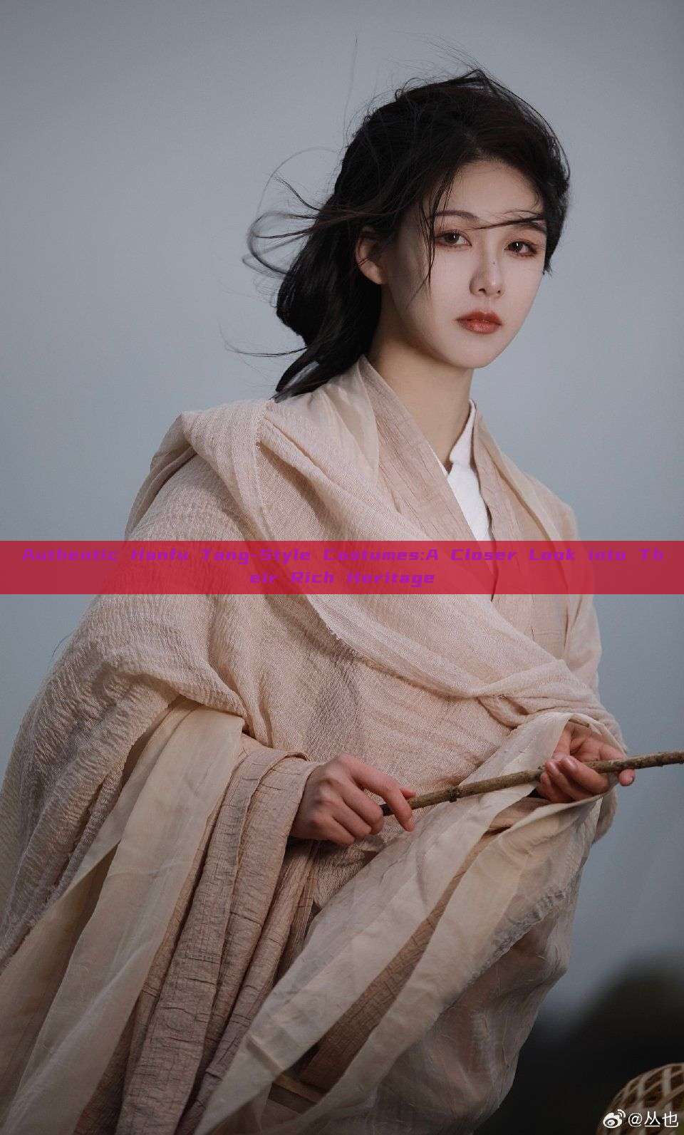Authentic Hanfu Tang-Style Costumes:A Closer Look into Their Rich Heritage Authentic Hanfu Tang-Style Costumes:A Closer Look into Their Rich Heritage