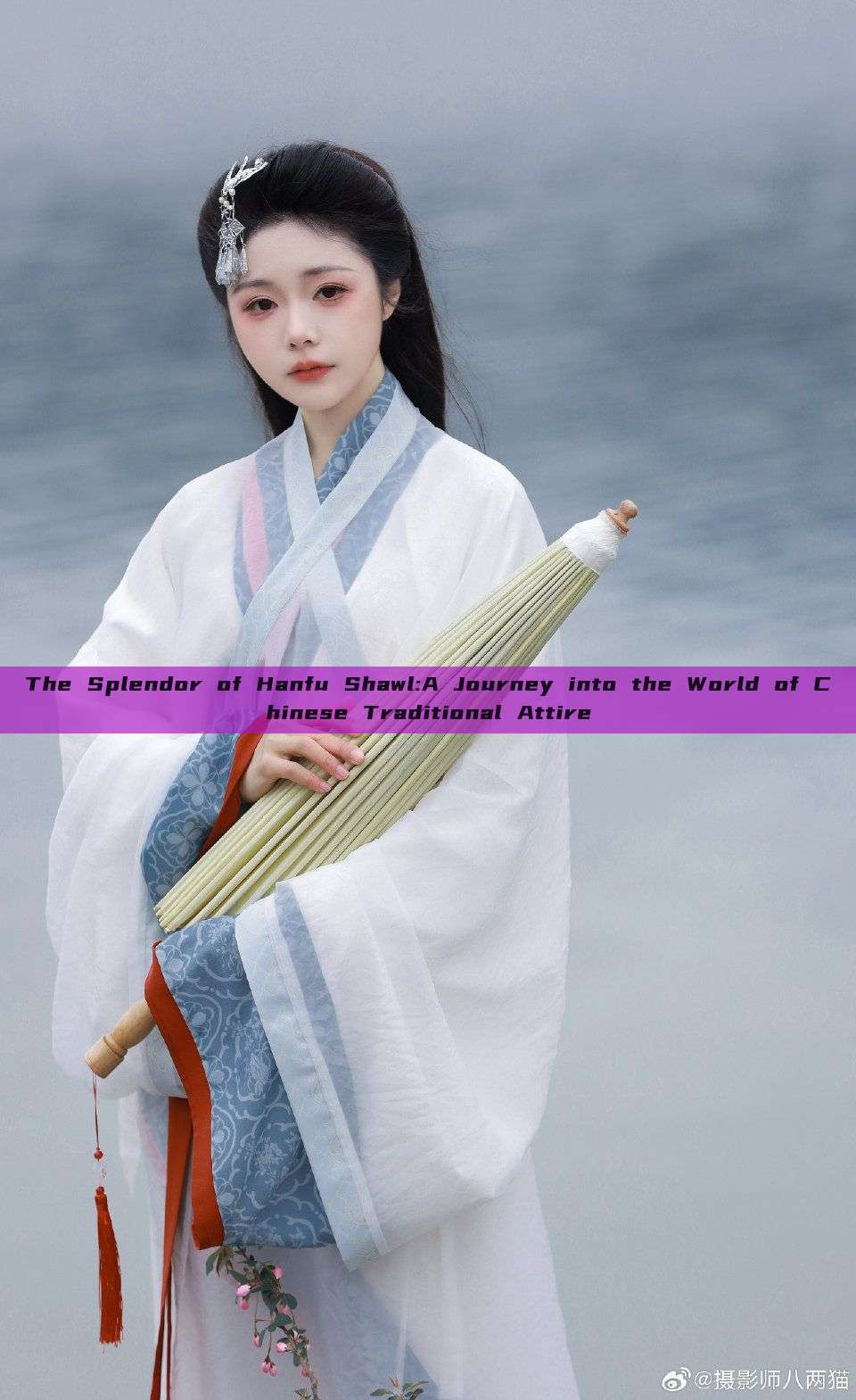 The Splendor of Hanfu Shawl:A Journey into the World of Chinese Traditional Attire The Splendor of Hanfu Shawl:A Journey into the World of Chinese Traditional Attire