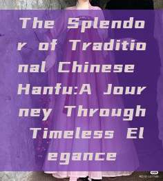 The Splendor of Traditional Chinese Hanfu:A Journey Through Timeless Elegance The Splendor of Traditional Chinese Hanfu:A Journey Through Timeless Elegance