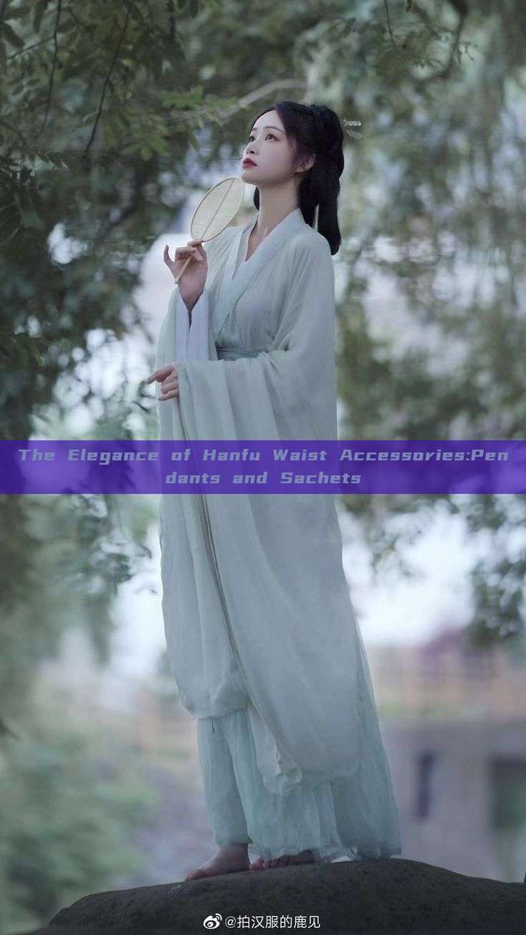 The Elegance of Hanfu Waist Accessories:Pendants and Sachets The Elegance of Hanfu Waist Accessories:Pendants and Sachets