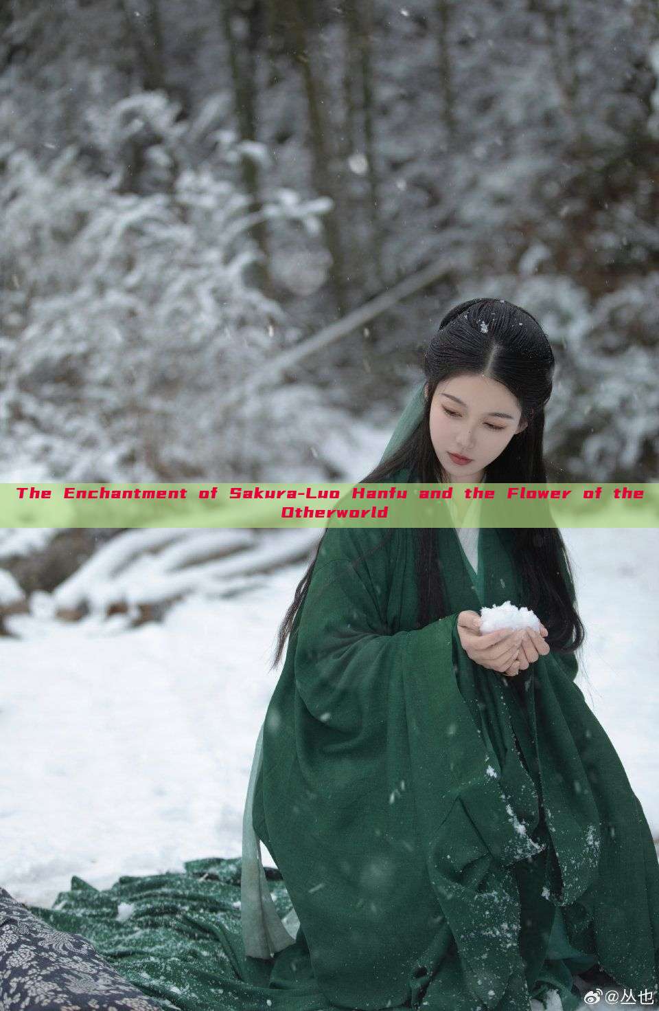 The Enchantment of Sakura-Luo Hanfu and the Flower of the Otherworld The Enchantment of Sakura-Luo Hanfu and the Flower of the Otherworld