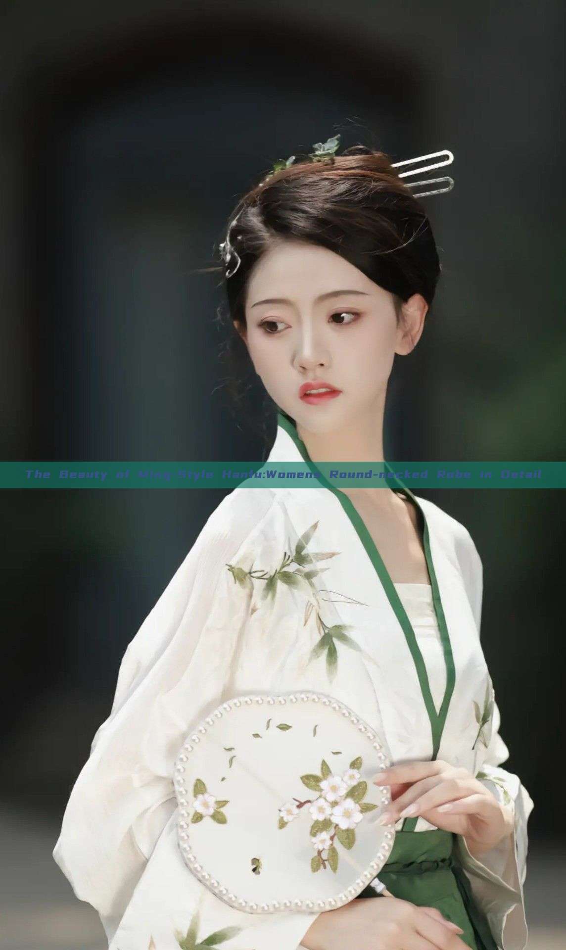 The Beauty of Ming-Style Hanfu:Womens Round-necked Robe in Detail The Beauty of Ming-Style Hanfu:Womens Round-necked Robe in Detail