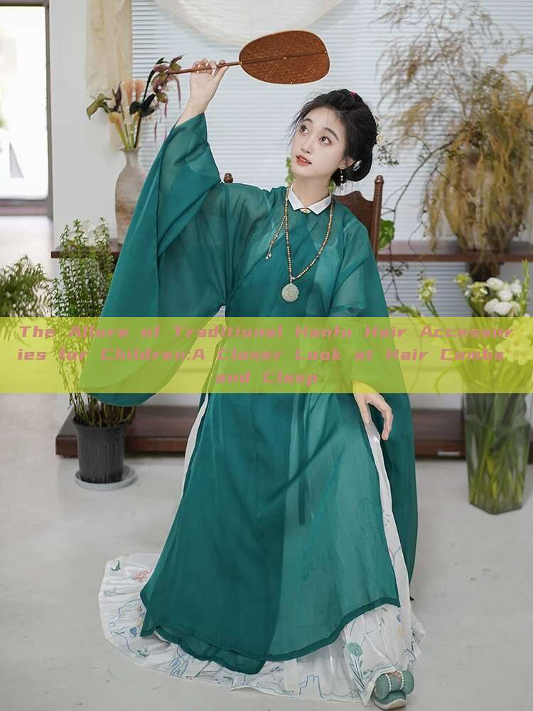 The Allure of Traditional Hanfu Hair Accessories for Children:A Closer Look at Hair Combs and Clasp The Allure of Traditional Hanfu Hair Accessories for Children:A Closer Look at Hair Combs and Clasp