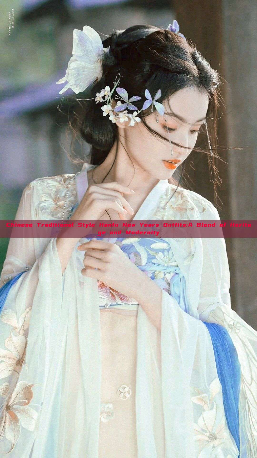 Chinese Traditional Style Hanfu New Years Outfits:A Blend of Heritage and Modernity Chinese Traditional Style Hanfu New Years Outfits:A Blend of Heritage and Modernity