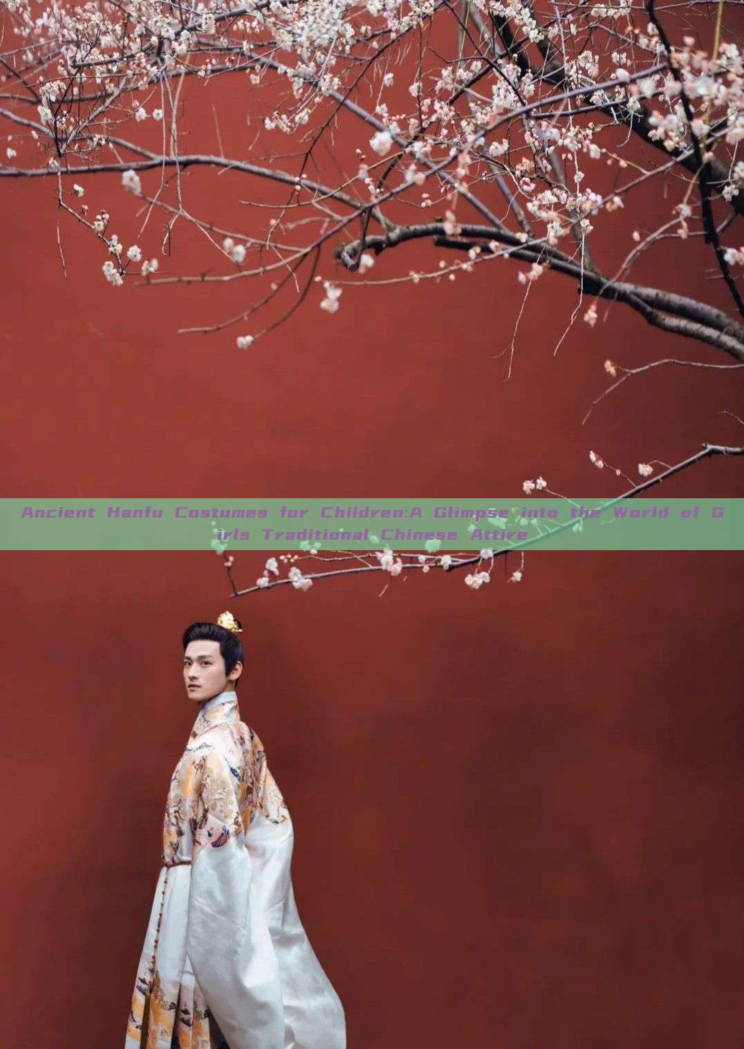 Ancient Hanfu Costumes for Children:A Glimpse into the World of Girls Traditional Chinese Attire Ancient Hanfu Costumes for Children:A Glimpse into the World of Girls Traditional Chinese Attire