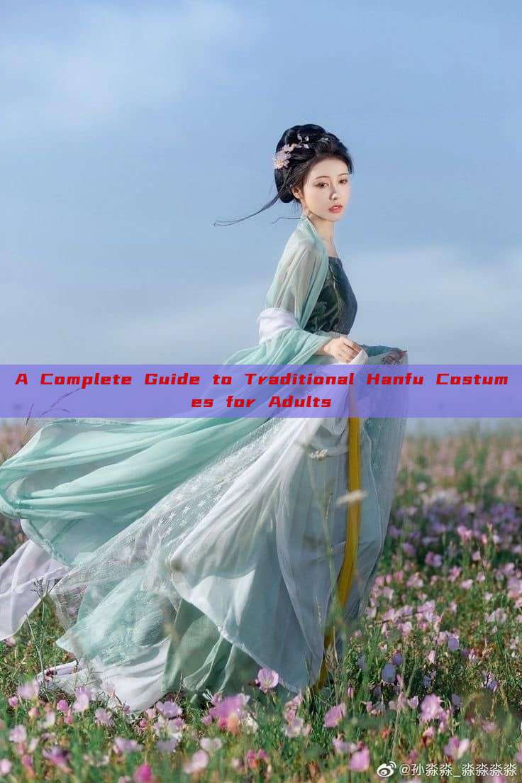 A Complete Guide to Traditional Hanfu Costumes for Adults A Complete Guide to Traditional Hanfu Costumes for Adults