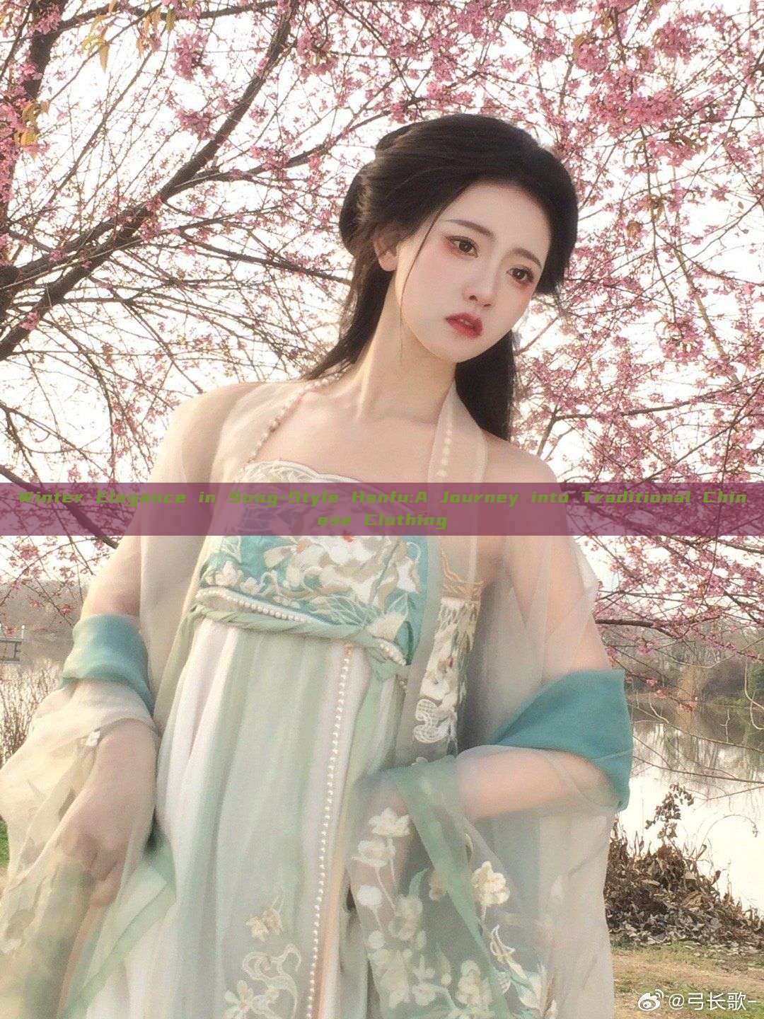Winter Elegance in Song-Style Hanfu:A Journey into Traditional Chinese Clothing Winter Elegance in Song-Style Hanfu:A Journey into Traditional Chinese Clothing