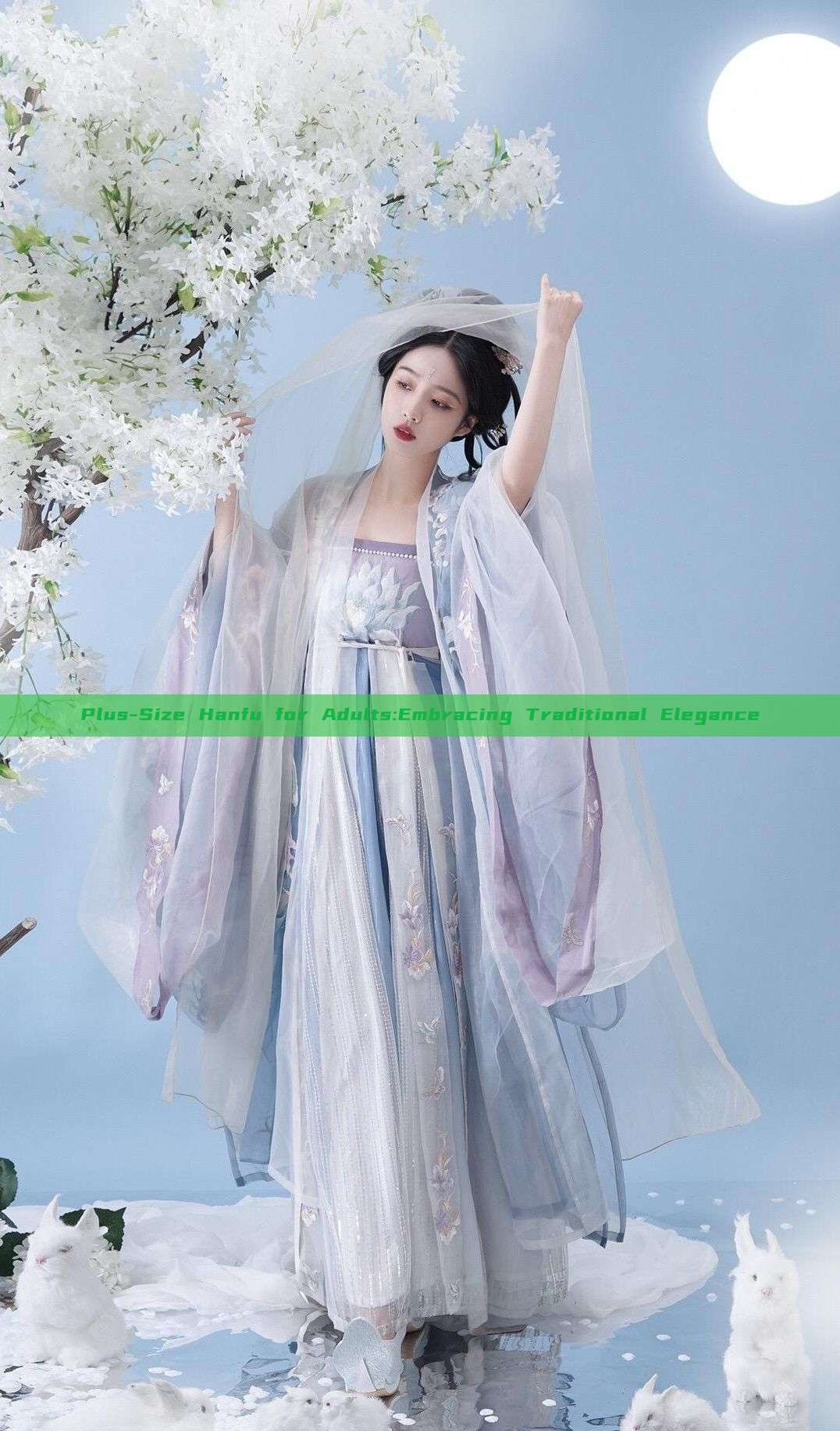 Plus-Size Hanfu for Adults:Embracing Traditional Elegance Plus-Size Hanfu for Adults:Embracing Traditional Elegance