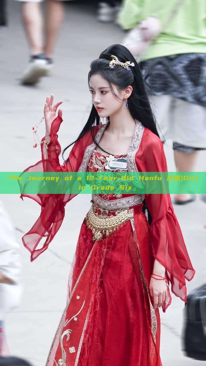 The Journey of a 12-Year-Old Hanfu 汉服)Girl in Grade Six The Journey of a 12-Year-Old Hanfu 汉服)Girl in Grade Six