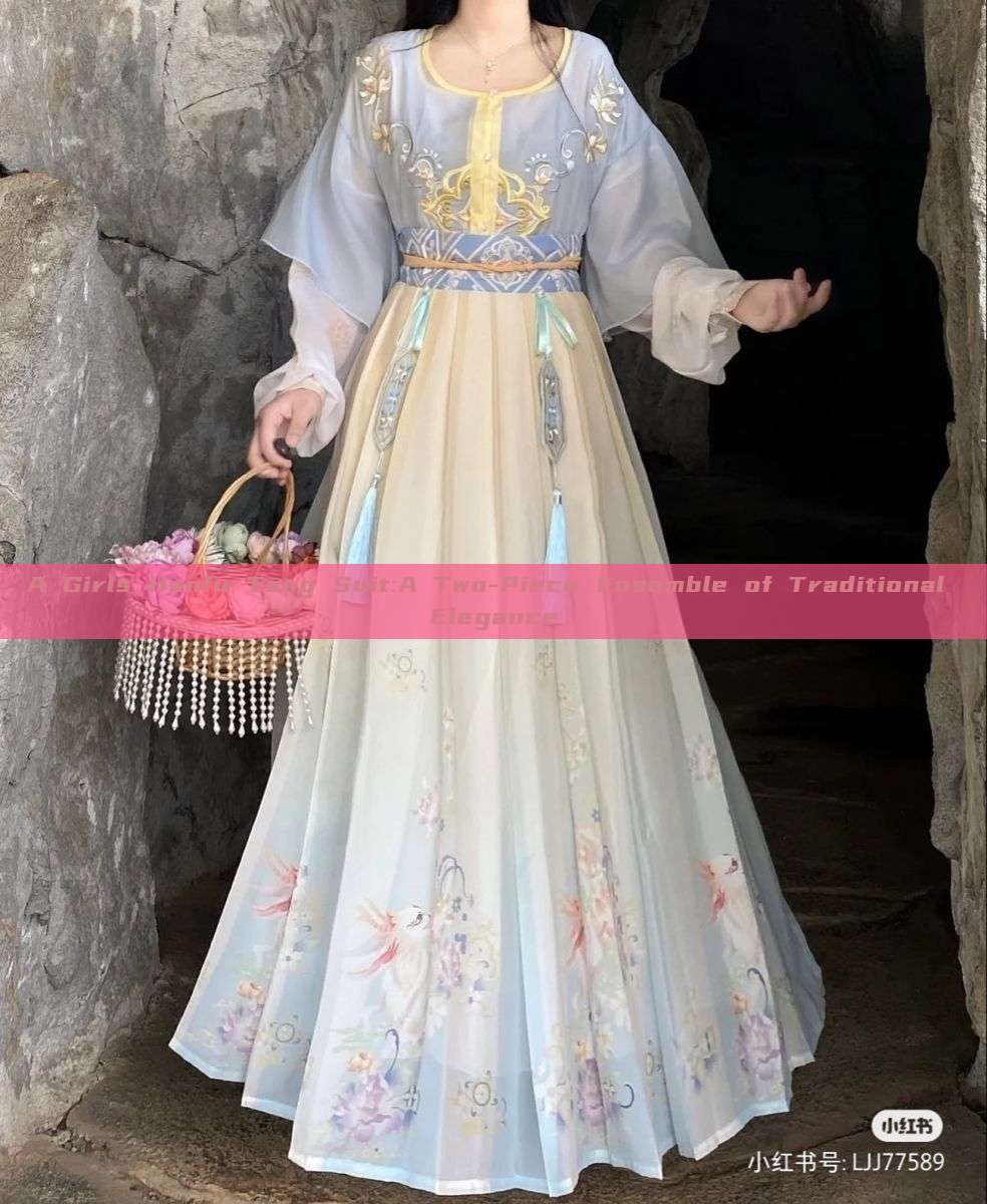 A Girls Hanfu Tang Suit:A Two-Piece Ensemble of Traditional Elegance A Girls Hanfu Tang Suit:A Two-Piece Ensemble of Traditional Elegance