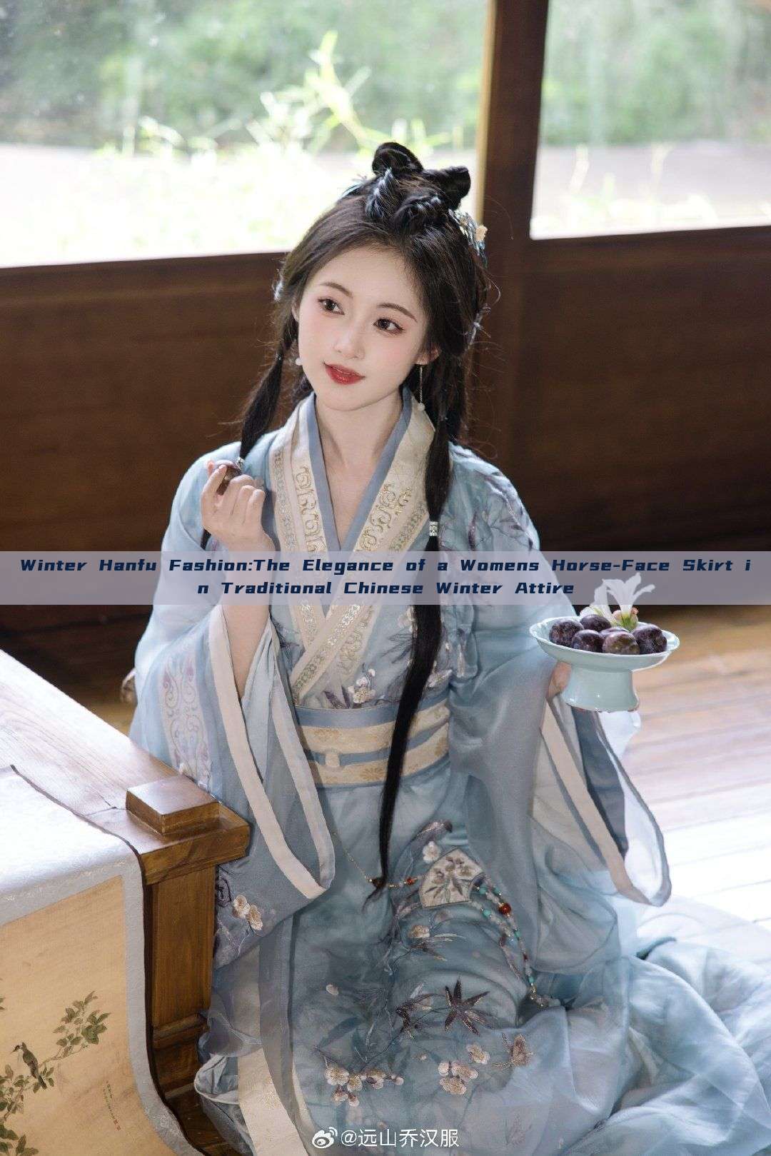 Winter Hanfu Fashion:The Elegance of a Womens Horse-Face Skirt in Traditional Chinese Winter Attire Winter Hanfu Fashion:The Elegance of a Womens Horse-Face Skirt in Traditional Chinese Winter Attire