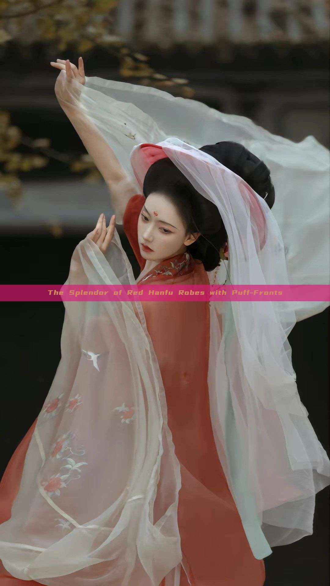 The Splendor of Red Hanfu Robes with Puff-Fronts The Splendor of Red Hanfu Robes with Puff-Fronts