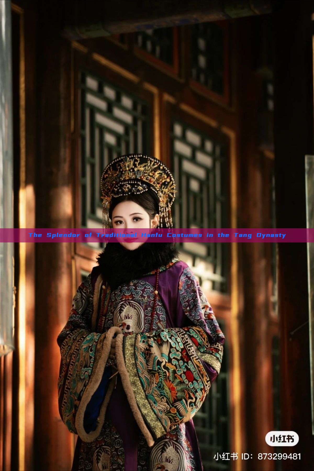 The Splendor of Traditional Hanfu Costumes in the Tang Dynasty The Splendor of Traditional Hanfu Costumes in the Tang Dynasty