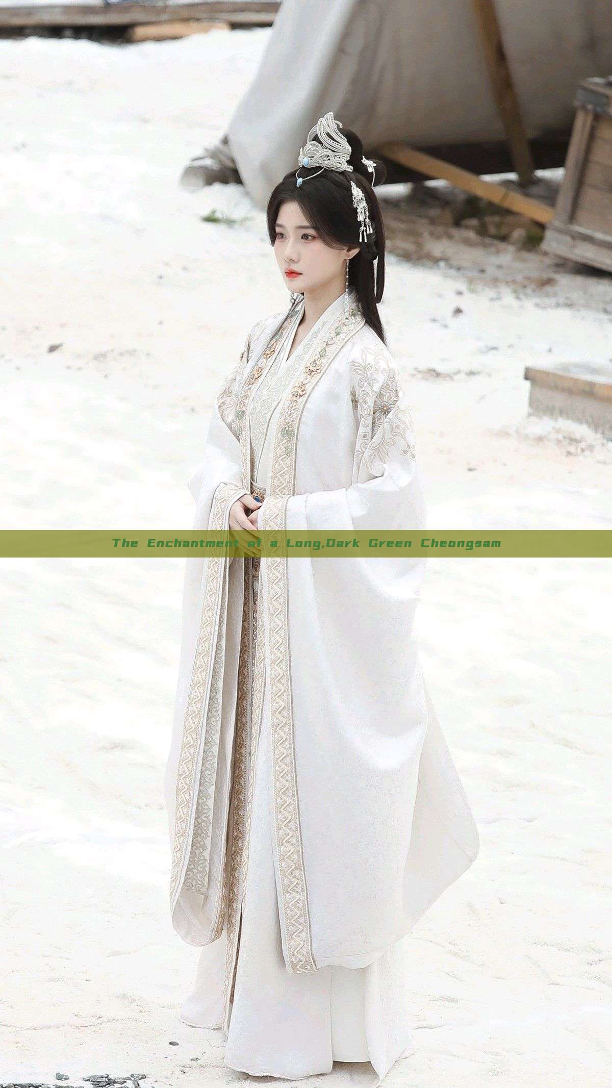 The Enchantment of a Long,Dark Green Cheongsam The Enchantment of a Long,Dark Green Cheongsam
