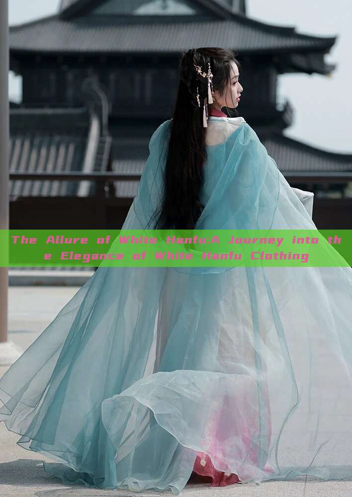The Allure of White Hanfu:A Journey into the Elegance of White Hanfu Clothing The Allure of White Hanfu:A Journey into the Elegance of White Hanfu Clothing