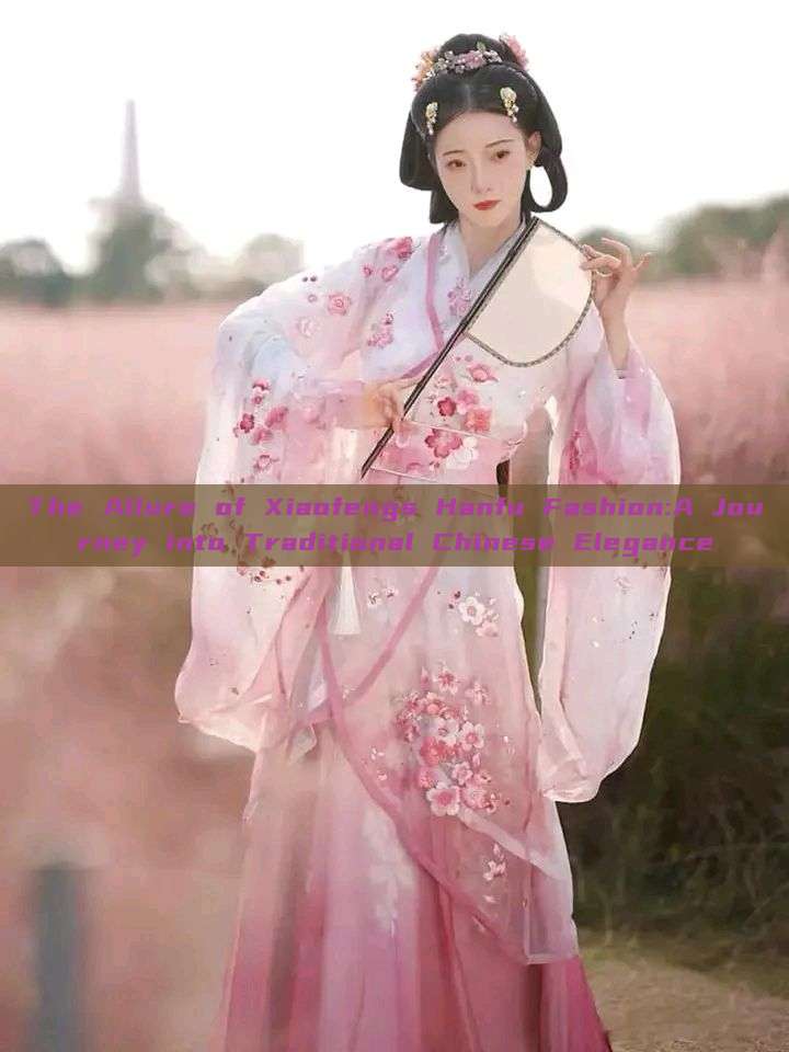 The Allure of Xiaofengs Hanfu Fashion:A Journey into Traditional Chinese Elegance The Allure of Xiaofengs Hanfu Fashion:A Journey into Traditional Chinese Elegance