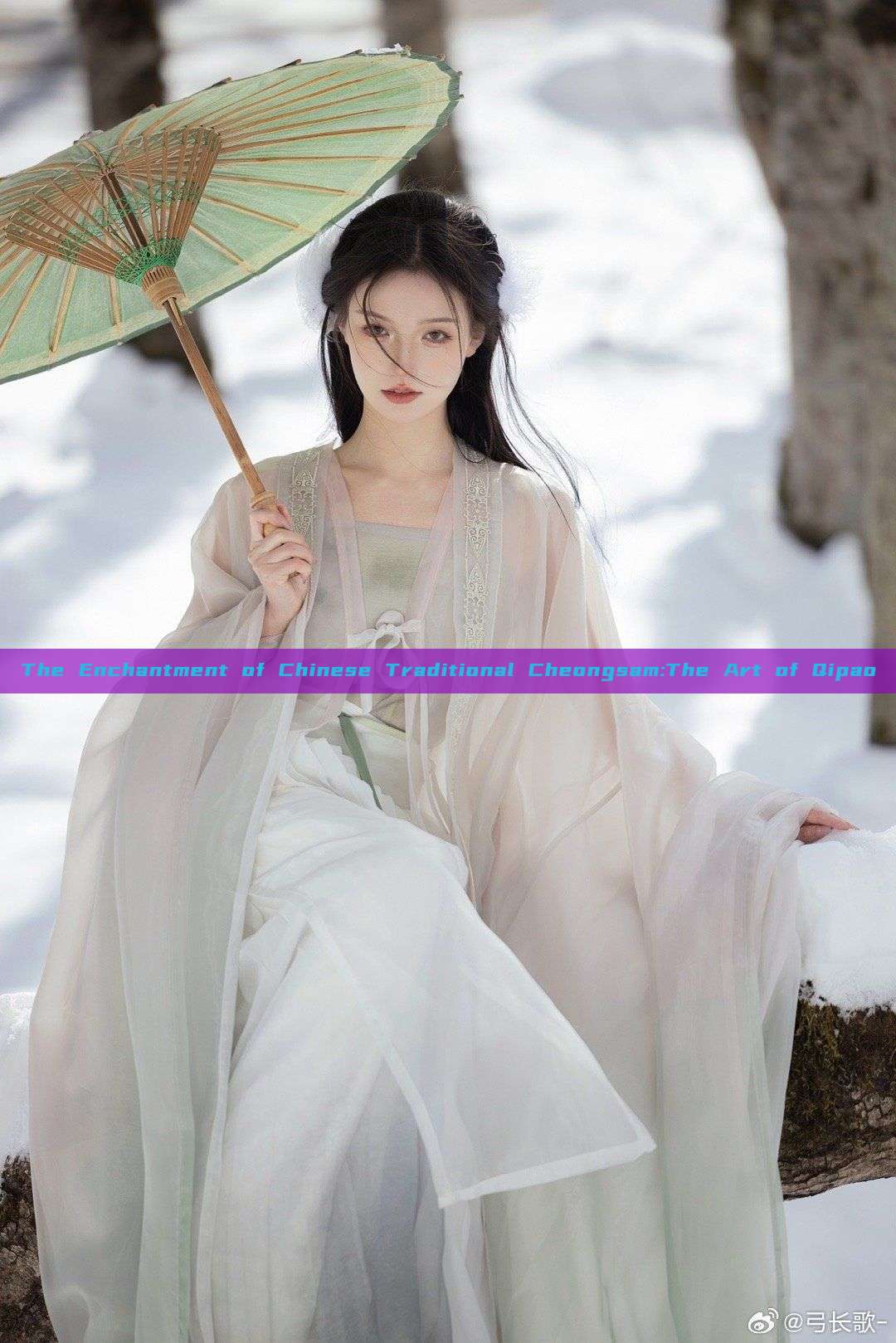 The Enchantment of Chinese Traditional Cheongsam:The Art of Qipao The Enchantment of Chinese Traditional Cheongsam:The Art of Qipao