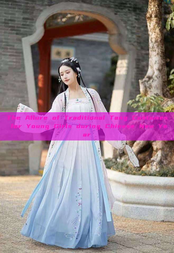 The Allure of Traditional Tang Costumes for Young Girls during Chinese New Year The Allure of Traditional Tang Costumes for Young Girls during Chinese New Year