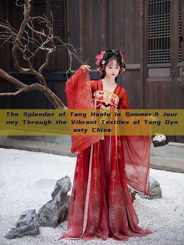 The Splendor of Tang Hanfu in Summer:A Journey Through the Vibrant Textiles of Tang Dynasty China The Splendor of Tang Hanfu in Summer:A Journey Through the Vibrant Textiles of Tang Dynasty China