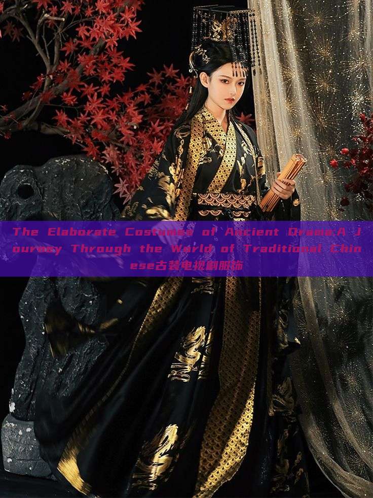 The Elaborate Costumes of Ancient Drama:A Journey Through the World of Traditional Chinese古装电视剧服饰 The Elaborate Costumes of Ancient Drama:A Journey Through the World of Traditional Chinese古装电视剧服饰