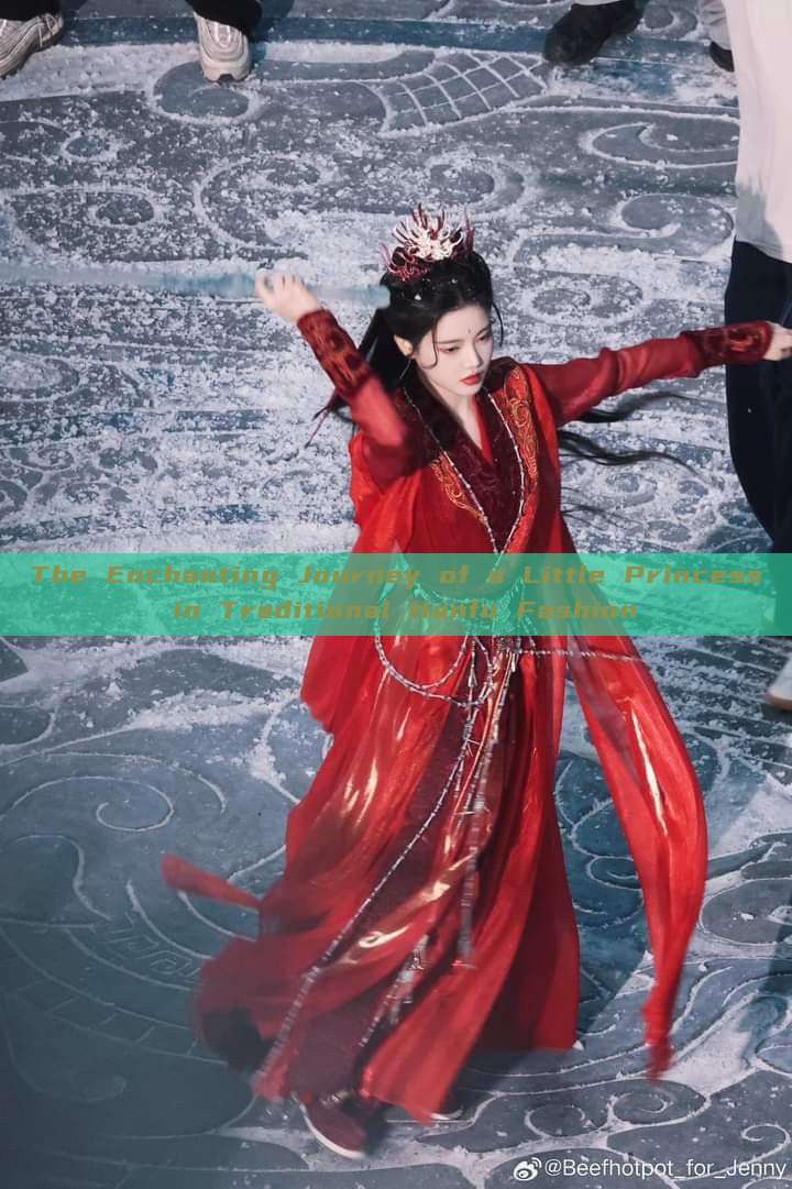 The Enchanting Journey of a Little Princess in Traditional Hanfu Fashion The Enchanting Journey of a Little Princess in Traditional Hanfu Fashion
