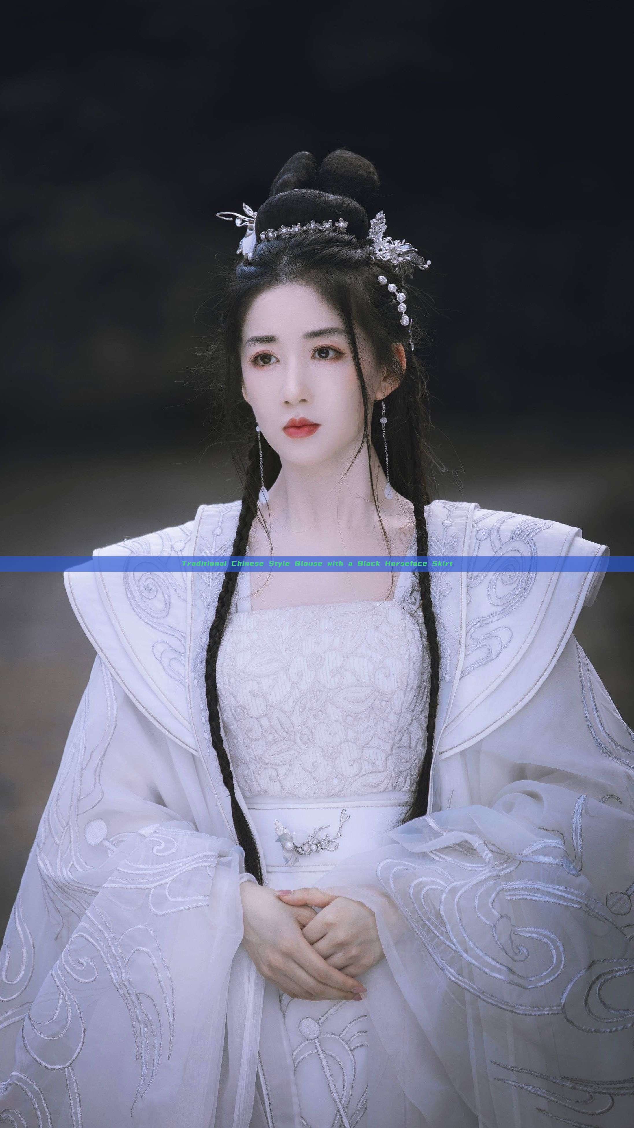 Traditional Chinese Style Blouse with a Black Horseface Skirt
