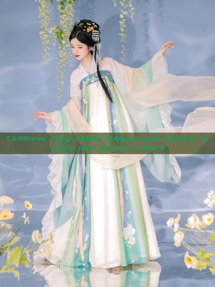 Childrens Tang Palace Banquet and Hanfu:A Journey into Ancient Culture Childrens Tang Palace Banquet and Hanfu:A Journey into Ancient Culture