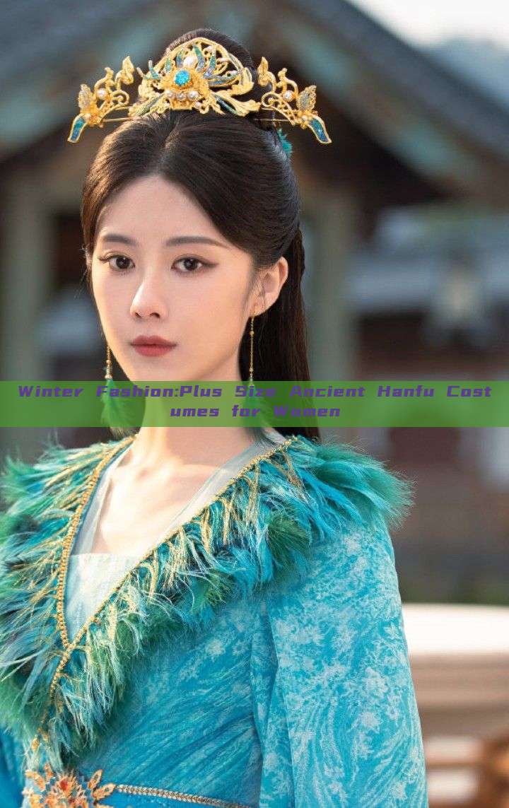 Winter Fashion:Plus Size Ancient Hanfu Costumes for Women Winter Fashion:Plus Size Ancient Hanfu Costumes for Women
