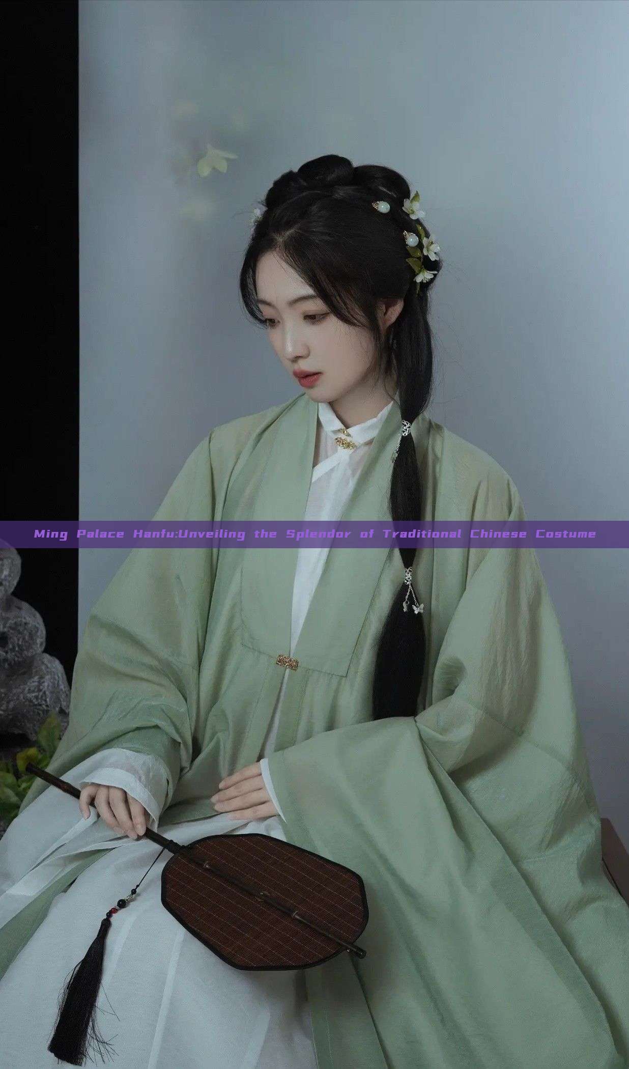 Ming Palace Hanfu:Unveiling the Splendor of Traditional Chinese Costume Ming Palace Hanfu:Unveiling the Splendor of Traditional Chinese Costume