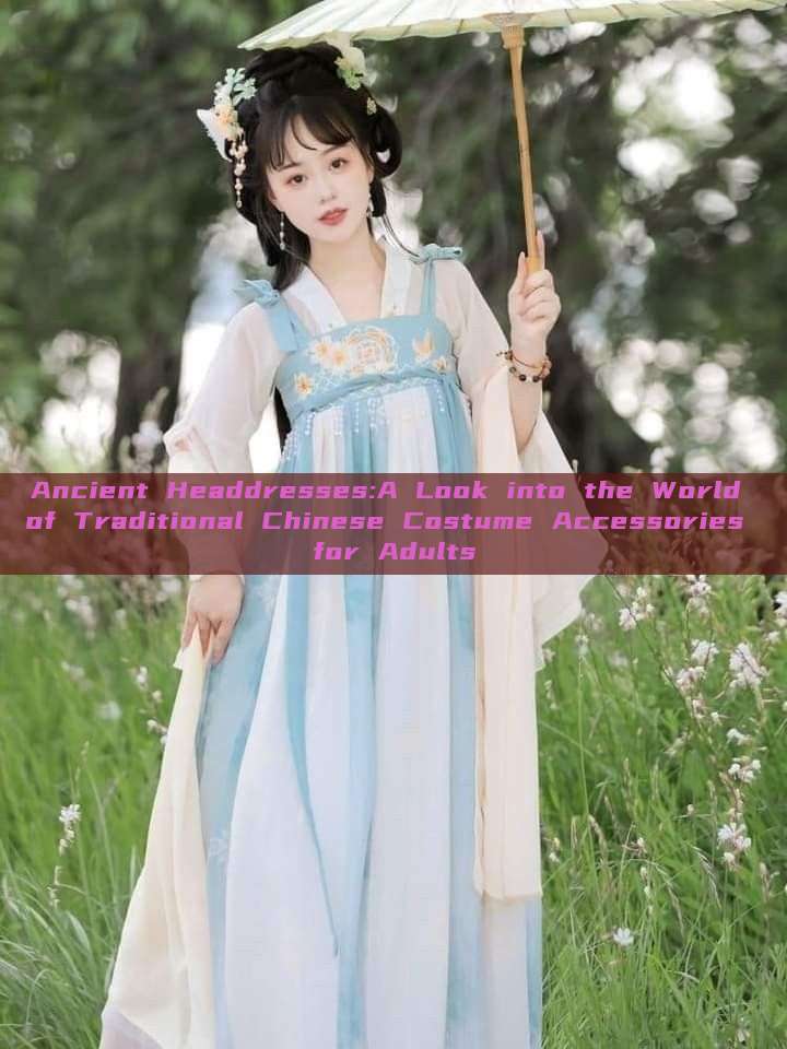Ancient Headdresses:A Look into the World of Traditional Chinese Costume Accessories for Adults Ancient Headdresses:A Look into the World of Traditional Chinese Costume Accessories for Adults