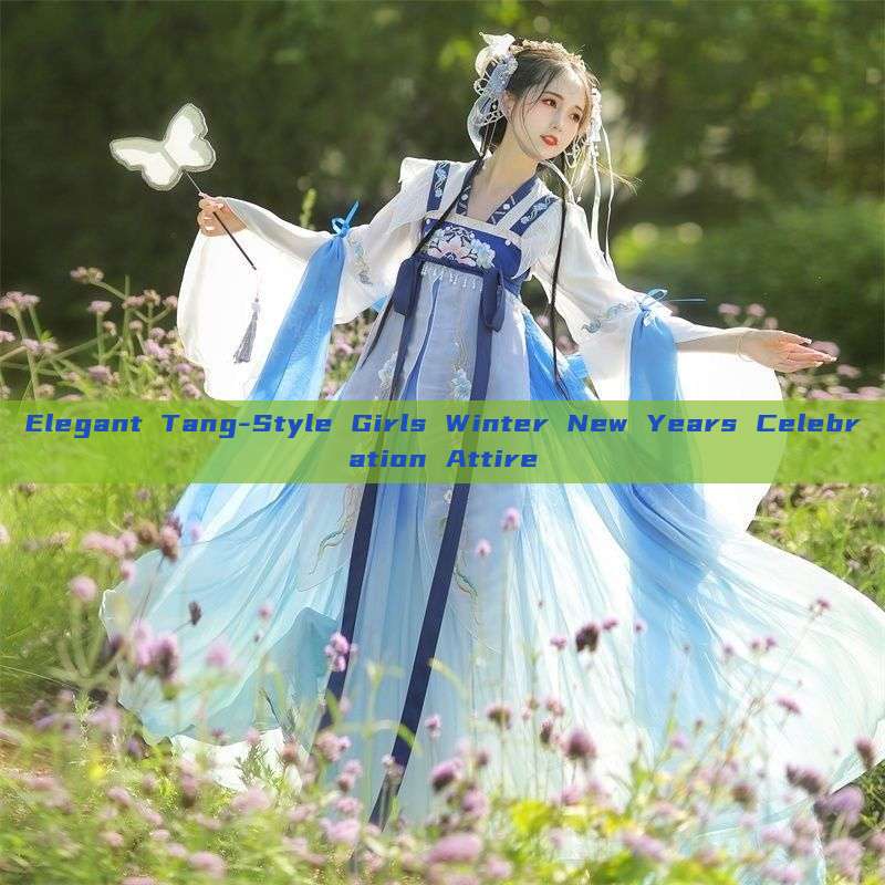 Elegant Tang-Style Girls Winter New Years Celebration Attire Elegant Tang-Style Girls Winter New Years Celebration Attire