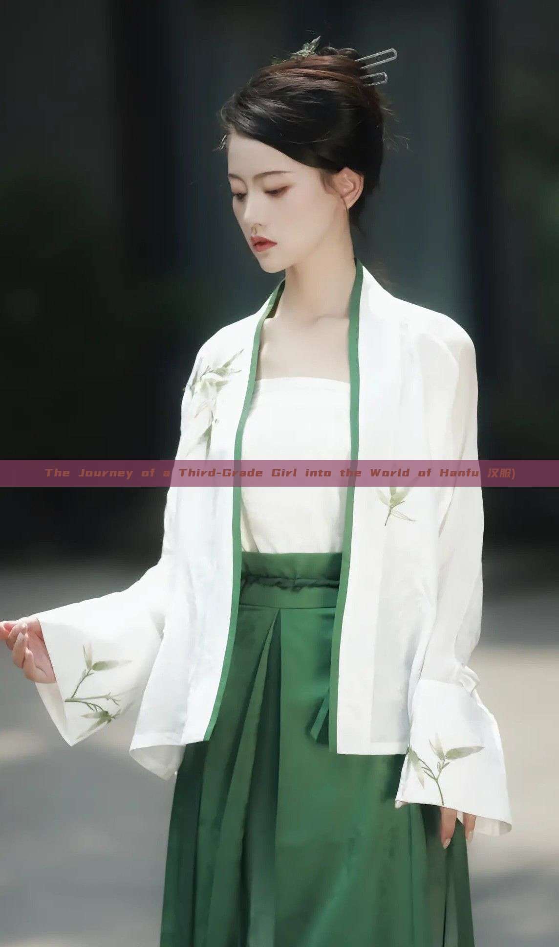 The Journey of a Third-Grade Girl into the World of Hanfu 汉服) The Journey of a Third-Grade Girl into the World of Hanfu 汉服)