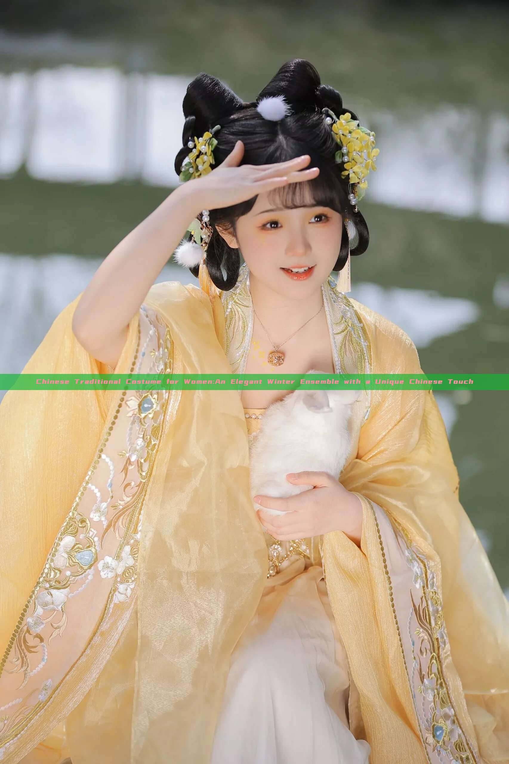 Chinese Traditional Costume for Women:An Elegant Winter Ensemble with a Unique Chinese Touch Chinese Traditional Costume for Women:An Elegant Winter Ensemble with a Unique Chinese Touch