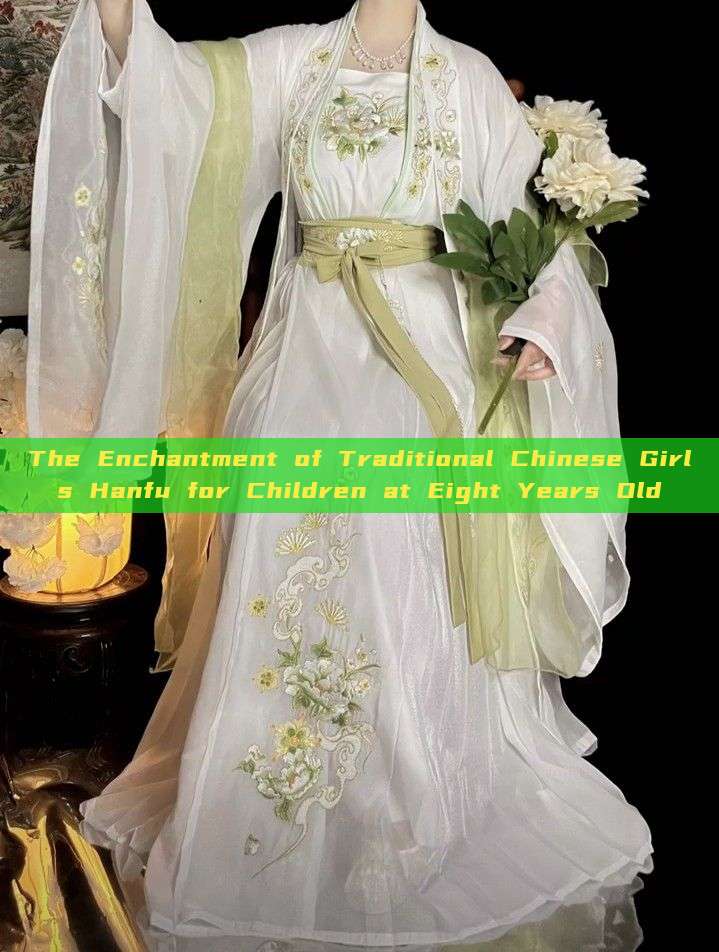 The Enchantment of Traditional Chinese Girls Hanfu for Children at Eight Years Old The Enchantment of Traditional Chinese Girls Hanfu for Children at Eight Years Old