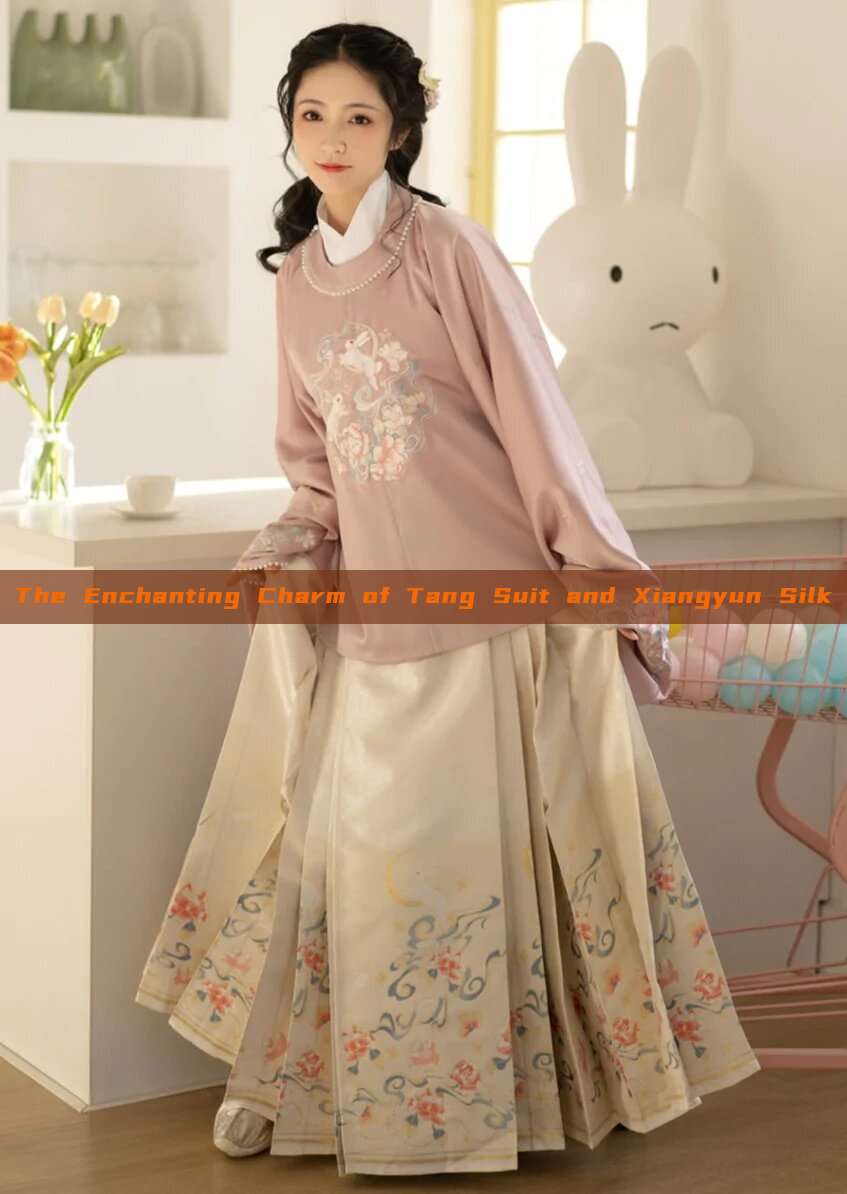 The Enchanting Charm of Tang Suit and Xiangyun Silk The Enchanting Charm of Tang Suit and Xiangyun Silk