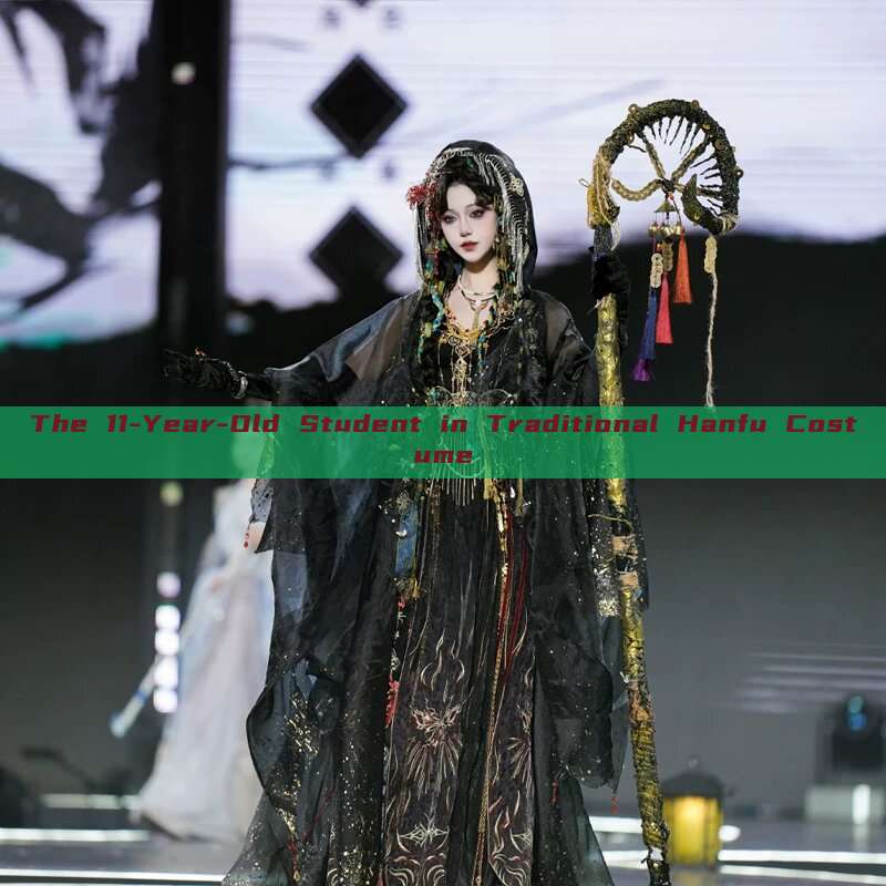 The 11-Year-Old Student in Traditional Hanfu Costume The 11-Year-Old Student in Traditional Hanfu Costume