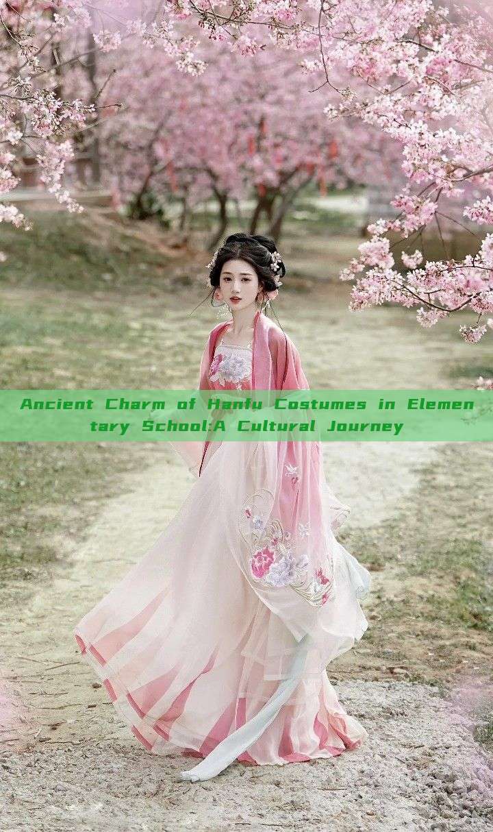 Ancient Charm of Hanfu Costumes in Elementary School:A Cultural Journey Ancient Charm of Hanfu Costumes in Elementary School:A Cultural Journey