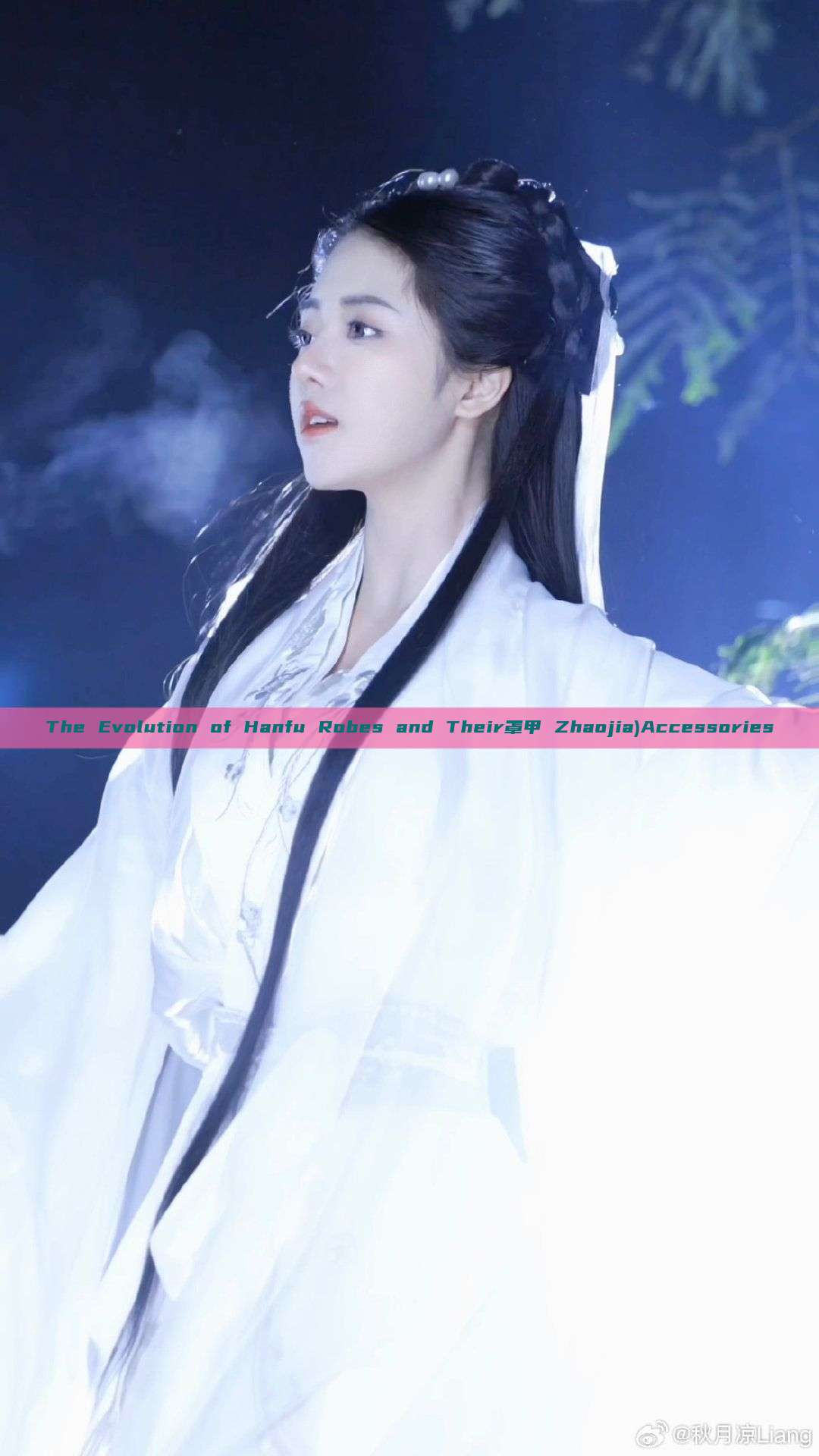 The Evolution of Hanfu Robes and Their罩甲 Zhaojia)Accessories The Evolution of Hanfu Robes and Their罩甲 Zhaojia)Accessories