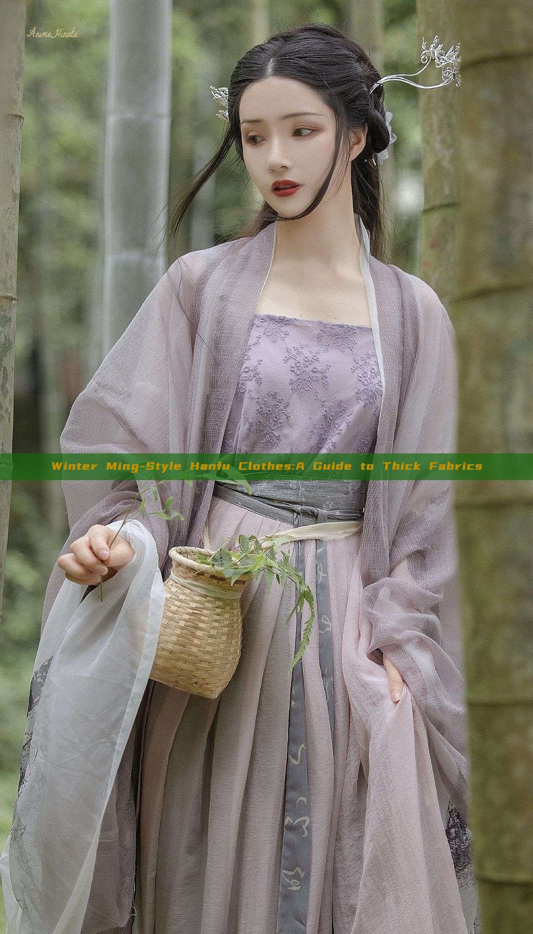 Winter Ming-Style Hanfu Clothes:A Guide to Thick Fabrics Winter Ming-Style Hanfu Clothes:A Guide to Thick Fabrics