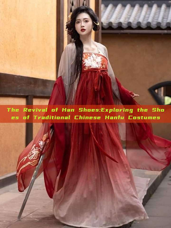 The Revival of Han Shoes:Exploring the Shoes of Traditional Chinese Hanfu Costumes