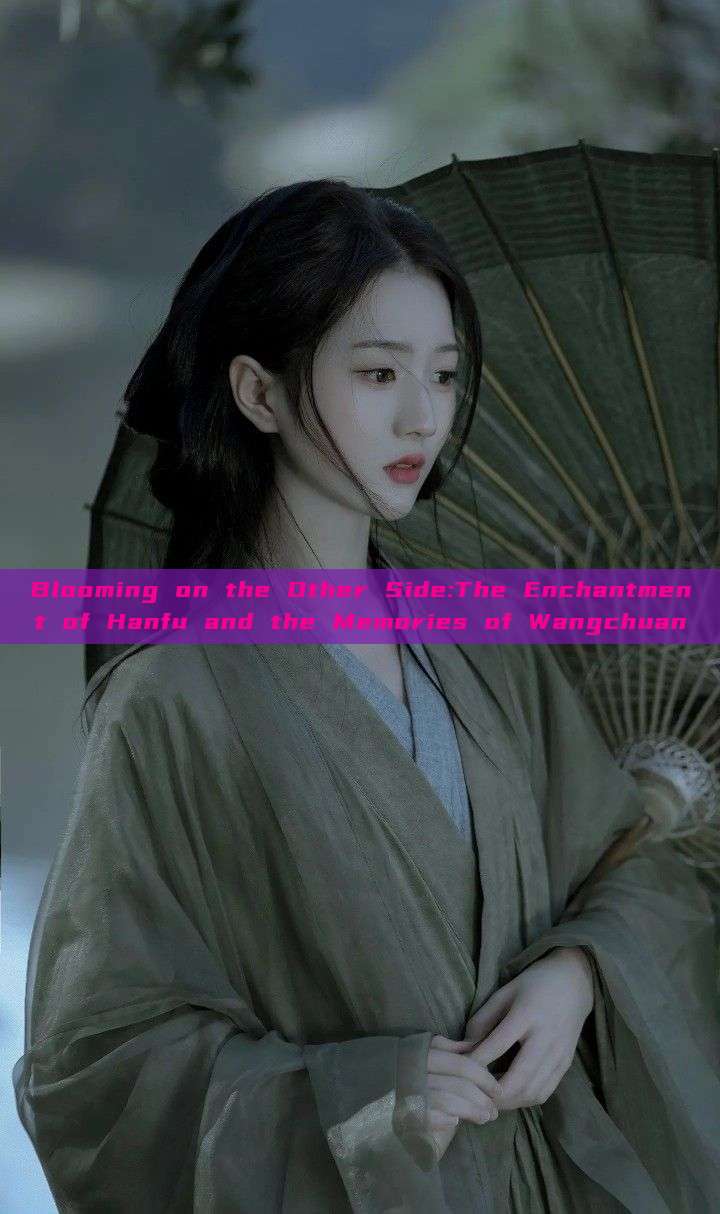 Blooming on the Other Side:The Enchantment of Hanfu and the Memories of Wangchuan Blooming on the Other Side:The Enchantment of Hanfu and the Memories of Wangchuan