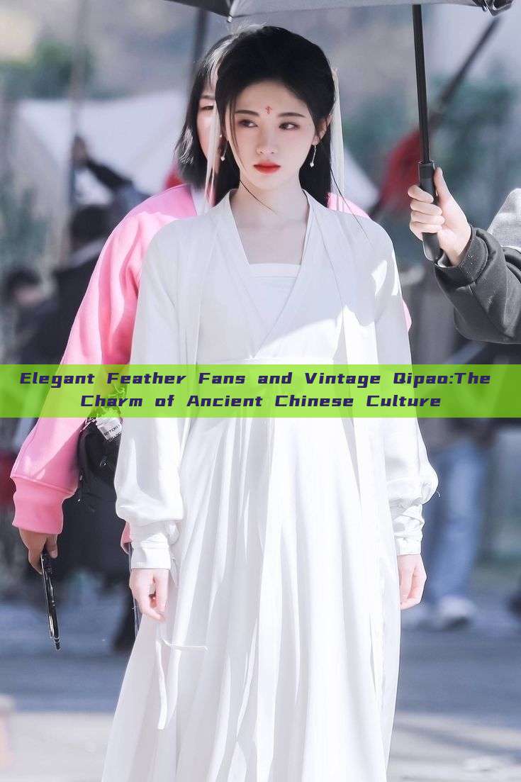 Elegant Feather Fans and Vintage Qipao:The Charm of Ancient Chinese Culture Elegant Feather Fans and Vintage Qipao:The Charm of Ancient Chinese Culture